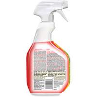 Nettoyant d&eacute;sinfectant contre les taches et odeurs biologiques, 946 ml, Bouteille &agrave; g&acirc;chette Mukwa Safety Services