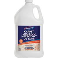 Floor & Carpet Care