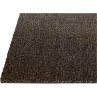 Tapis dint&eacute;rieur Palliser, Essuie-pieds/grattoir, 6-1/2' x 82' x 5/16", Anglis Mukwa Safety Services