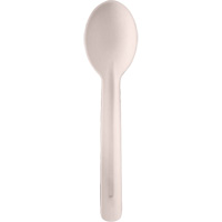 Bagasse Compostable Spoons Mukwa Safety Services