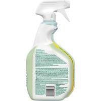 CloroxPro Clorox EcoClean Disinfecting Cleaner, 946 ml, Trigger Bottle Mukwa Safety Services