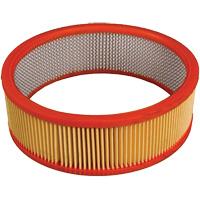 Antimicrobial Vacuum Secondary Filter, Hepa Mukwa Safety Services