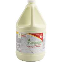 23 Floor Sealer, 4 L, Jug Mukwa Safety Services