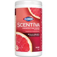 Disinfecting Wipes, 75 Count Mukwa Safety Services