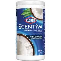 Disinfecting Wipes, 75 Count Mukwa Safety Services