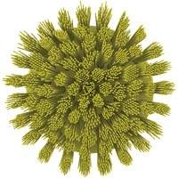 HyDrive Round Drill Brush, Extra Stiff Bristles, 3-1/10" Long, Yellow Mukwa Safety Services