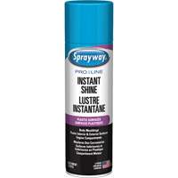 Brillant instantan&eacute; Pro Line pour surfaces en plastique, 11 oz, Canette a&eacute;rosol Mukwa Safety Services