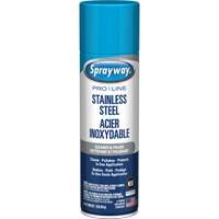 Nettoyant & polis pour acier inoxydable Pro Line, 15 oz, Canette a&eacute;rosol Mukwa Safety Services