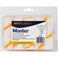 Master Yellow Stripe Mini Roller, 13 mm (1/2") Nap, 101.6 mm (4") L Mukwa Safety Services