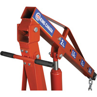2-Ton Folding Shop Crane, 4000 lbs. (2 tons) Capacity Mukwa Safety Services