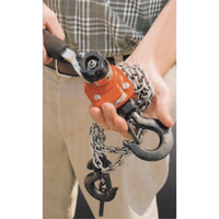 Series 602 Mini Ratchet Lever Hoist, 5' Lift, 550 lbs. (0.275 tons) Capacity, Steel Chain Mukwa Safety Services