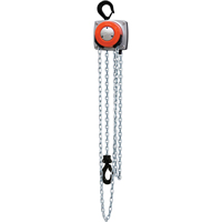 Hurricane 360° Chain Hoist, 10' Lift, 1000 lbs. (0.5 tons) Capacity, Steel Chain Mukwa Safety Services