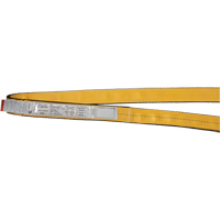 &eacute;lingues de levage en nylon, Pli Simple, Sans fin, Type 5, 1" la x 3' lo, Limite de charge verticale 3200 lb Mukwa Safety Services