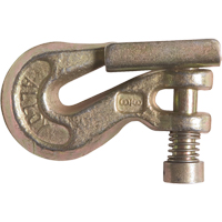 Clevis Grab Hook with Latch - Grade 70 Mukwa Safety Services