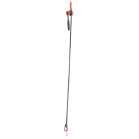 Mini palan &agrave; levier, Lev&eacute;e 10', Cabacit&eacute; 1000 lb (0,5 tonne), Chaîne en Acier Mukwa Safety Services