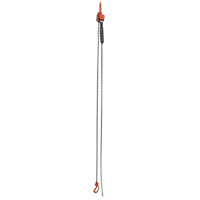 Mini palan &agrave; levier, Lev&eacute;e 10', Cabacit&eacute; 1000 lb (0,5 tonne), Chaîne en Acier Mukwa Safety Services
