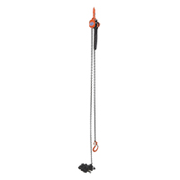 Mini palan &agrave; levier, Lev&eacute;e 15', Cabacit&eacute; 1000 lb (0,5 tonne), Chaîne en Acier Mukwa Safety Services