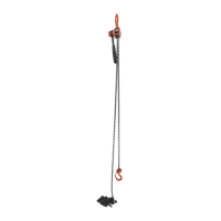 Mini palan &agrave; levier, Lev&eacute;e 20', Cabacit&eacute; 1000 lb (0,5 tonne), Chaîne en Acier Mukwa Safety Services
