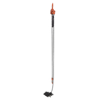 Mini palan &agrave; levier, Lev&eacute;e 20', Cabacit&eacute; 1000 lb (0,5 tonne), Chaîne en Acier Mukwa Safety Services