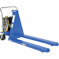 L&egrave;ve-palette &eacute;lectrique, Acier, Capacit&eacute; de 2500 lb Mukwa Safety Services