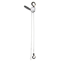 Mini Lever Hoist, 5' Lift, 1100 lbs. (0.55 tons) Capacity, Zinc Plated Chain Mukwa Safety Services