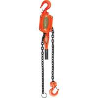 Lever Hoist, 5' Lift, 6000 lbs. (3 tons) Capacity, Alloy Steel Chain Mukwa Safety Services