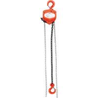 Chain Hoist, 10' Lift, 10000 lbs. (5 tons) Capacity, Alloy Steel Chain Mukwa Safety Services