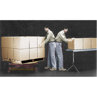 Spring-Operated Pallet Lifters - Pallet Pal&reg;, 43-5/8" L x 43-5/8" W, 4500 lbs. Cap. Mukwa Safety Services