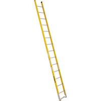 Single Section Straight Ladder - 6100 Series, 14', Fibreglass, 375 lbs., CSA Grade 1AA Mukwa Safety Services