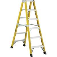 6600 Series Industrial Heavy-Duty 2-Way Stepladders, Fibreglass, 300 lbs. Capacity, 6' Mukwa Safety Services