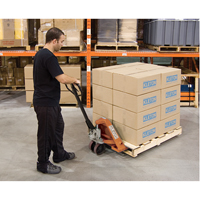 Heavy-Duty Manual Pallet Truck, Steel, 48" L x 20.5" W, 5500 lbs. Capacity Mukwa Safety Services