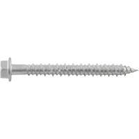 Vis de scellement Aggre-Gator, 1/4" x 1-1/4" lo, Acier inoxydable Mukwa Safety Services