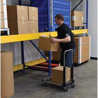 Chariot &agrave; plateforme repliable, Acier inoxydable, 300 lb, 28" lo x 16" la, Hauteur 33-1/2" Mukwa Safety Services