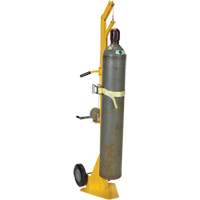 Portable Cylinder Lifter Mukwa Safety Services