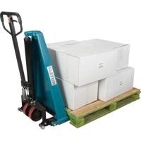 Manual Scissor Skid Lift, 45-1/4" L x 20-1/4" W, Steel, 3300 lbs. Capacity Mukwa Safety Services