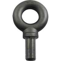Alloy Steel Eye Bolt, 3-1/4" Dia., 4" L, 47600 lbs. (23.8 tons)/47600 lbs. Capacity Mukwa Safety Services