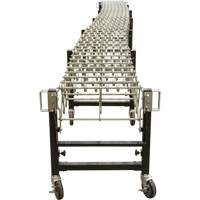 Expandable Conveyor, 23" W x 24' L, 200 lbs. per lin. ft. Capacity Mukwa Safety Services