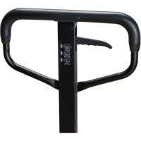 Steel Wheel Pallet Truck, Steel, 48" L x 27" W, 5500 lbs. Capacity Mukwa Safety Services