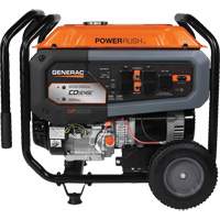 Portable Generator with COsense&reg; Technology, 10000 W Surge, 8000 W Rated, 120 V/240 V, 7.9 gal. Tank Mukwa Safety Services
