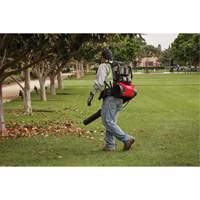 M18 FUEL Dual Battery Backpack Blower Kit, 18 V, 155 MPH Output, Battery Powered Mukwa Safety Services