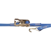 Heavy-Duty Utility Straps, Wire Hook, 1" W x 13' L, 167 lbs. (76 kg) Working Load Limit Mukwa Safety Services