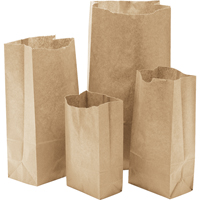 Sacs en papier, Papier, 3-1/2" la x 6-3/4" lo Mukwa Safety Services