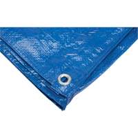 B&acirc;che, Standard, Bleu, 7' x 5' x 4 mils Mukwa Safety Services