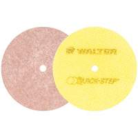 Quick-Step Instant Polish Discs, 5" Dia. Mukwa Safety Services
