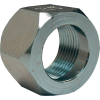 Dixon&reg; Mining Hex Nut, 1", Zinc Plated, NPT Thread Mukwa Safety Services