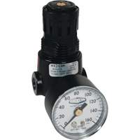 Wilkerson Miniature Regulator R04, 1/4" NPT, 300 psi Max. PSI, Standard Mukwa Safety Services