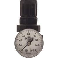 Series 1 Miniature Regulator, 1/8" NPT, 100 psi Max. PSI, Standard Mukwa Safety Services