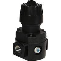 Wilkerson Compact Regulator R16, 1/4" NPT, 300 psi Max. PSI, Standard Mukwa Safety Services