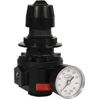 Wilkerson Regulator R26, 1/2" NPT, 300 psi Max. PSI, Standard Mukwa Safety Services