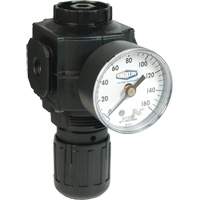 Series 1 Compact Regulator, 1/2" NPT, 150 PSI Max. PSI, Standard Mukwa Safety Services